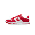 Women's Nike Dunk Low Shoes - product image from the listing.