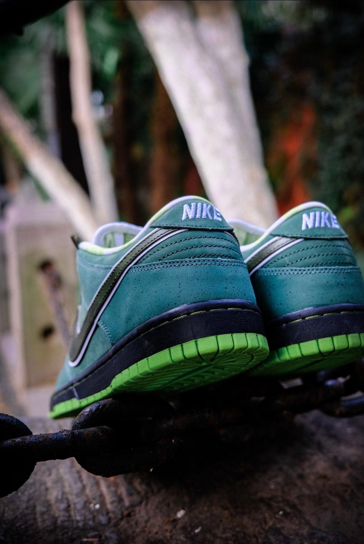 Nike SB Dunk Low Green Lobster Trainers BV1310-337 - product image from the listing.